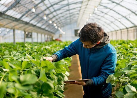 World Bank urges developing states to rely on agricultural innovation, technology to reduce poverty