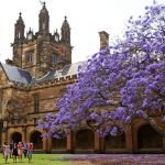 Sydney ranks 60th in the world in prestigious university ranking