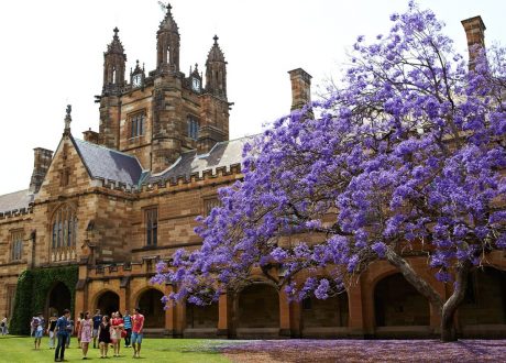 Sydney ranks 60th in the world in prestigious university ranking