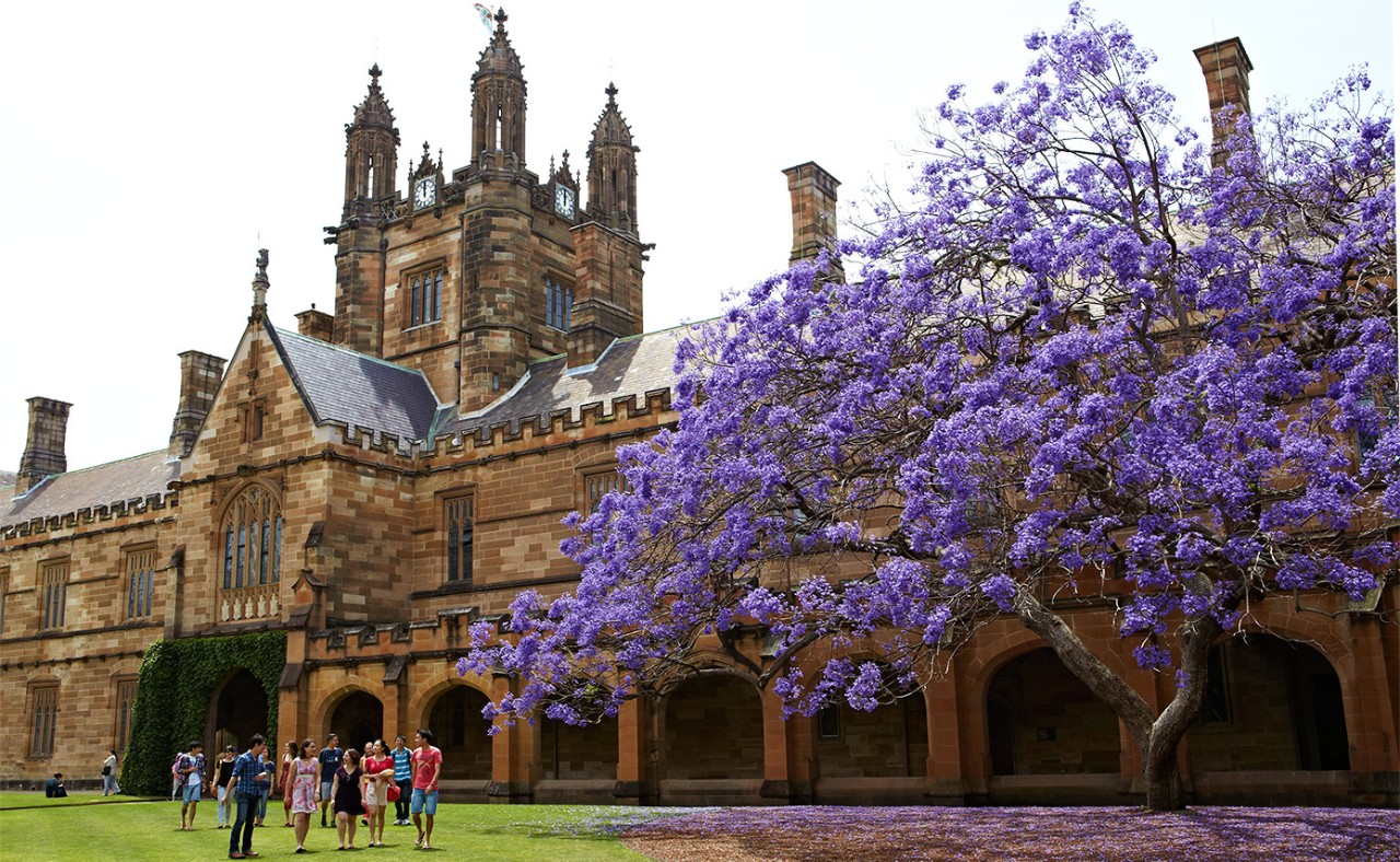 Sydney Ranks 60th In The World In Prestigious University Ranking Csr 