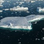 OPINION: In the fight against climate change we need nature now more than ever