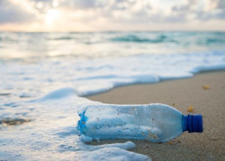 $450 million ISLANDS initiative concentrates on chemical, waste management