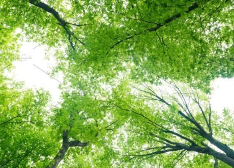 الهند: تغذية البحث والتطوير الابتكار من أموال الـ”CSR”