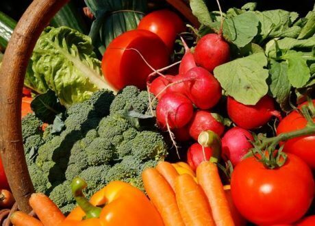 Cambridge University reduces carbon emissions by lifting lamb, beef from its menu