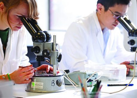 UK earmarks £10 m for three White Rose universities to hone bioscience, AI skills of PhD students