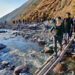 Norway spearheads $ 3m 3-year project to help FAO  improve reports on forest resources