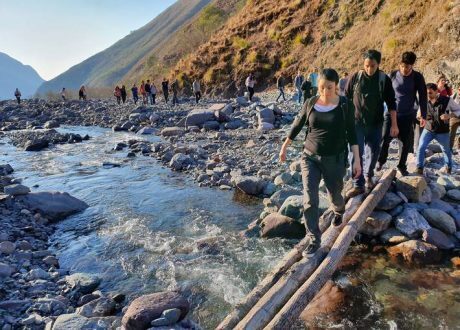 Norway spearheads $ 3m 3-year project to help FAO  improve reports on forest resources