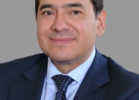 تأسيس أول شركة مصرية لتحويل قش الأرز إلى ألواح خشبية متوسطة الكثافة للحد من التلوث البيئى