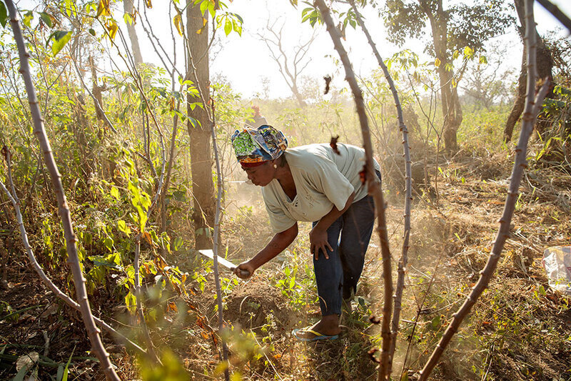 Rural women innovating climate-resilient solutions