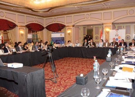 وزارة التخطيط تعقد ورشة عمل حول دور القطاع الخاص فى رؤية مصر 2030