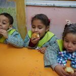 Middle East, N. Africa second world region for overweight children