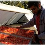 Low-cost solar dryer backs small farmers in India in their struggle against poverty