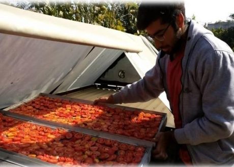 Low-cost solar dryer backs small farmers in India in their struggle against poverty
