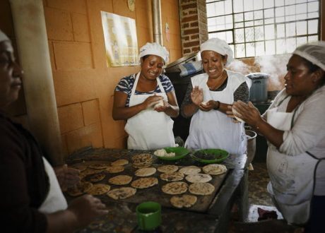 FAO, Danone to start with Egypt as pilot country for program on scaling up sustainable food, agricultural practices