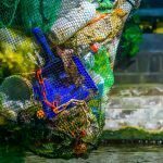 Unilever, Mars,Incorporated, PepsiCo to cut virgin plastic use by 20% to 50% by 2025