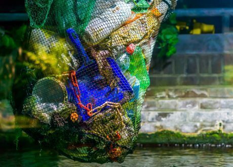 Unilever, Mars,Incorporated, PepsiCo to cut virgin plastic use by 20% to 50% by 2025