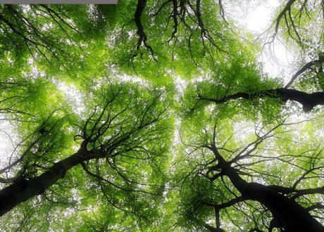 Being a responsible business costs less than you think