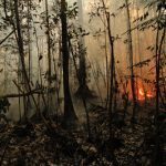 Reducing peatland fires to save thousands of lives in Indonesia, Malaysia, Singapore