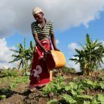 FAO, IFAD, WFP urge support of 45 million Africans due to face food insecurity in 6 months