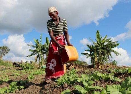 FAO, IFAD, WFP urge support of 45 million Africans due to face food insecurity in 6 months