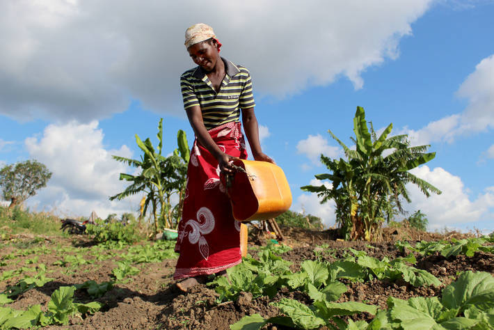 FAO, IFAD, WFP urge support of 45 million Africans due to face food insecurity in 6 months