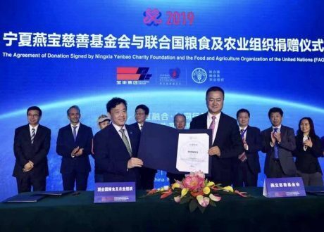 FAO receives $15 million donation from  Ningxia Yanbao Charity Foundation