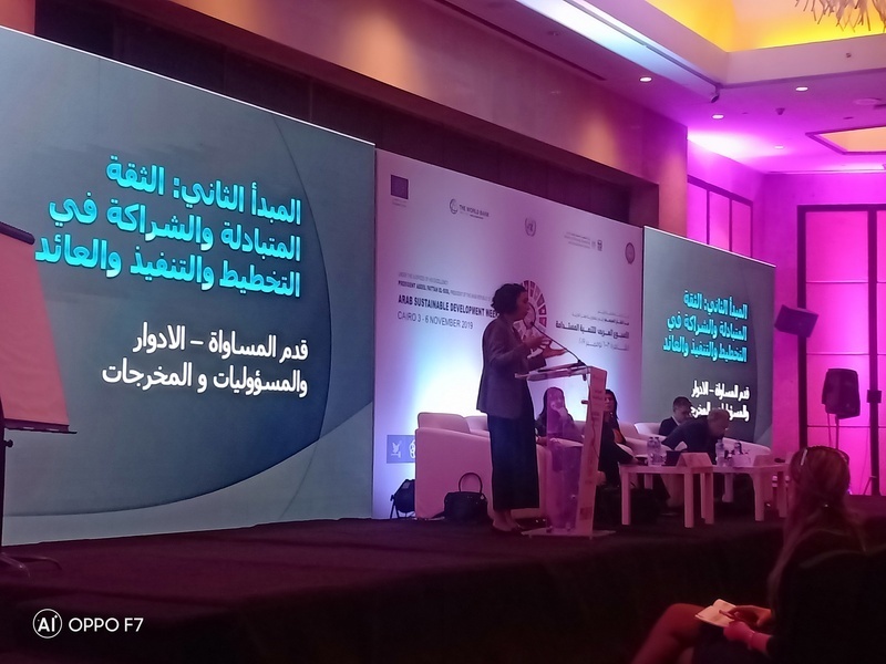 مستشار شئون مجتمع مدني: الشراكات الفعالة بين الحكومة وقطاع العطاء الاجتماعي تحقق التنمية المستدامة