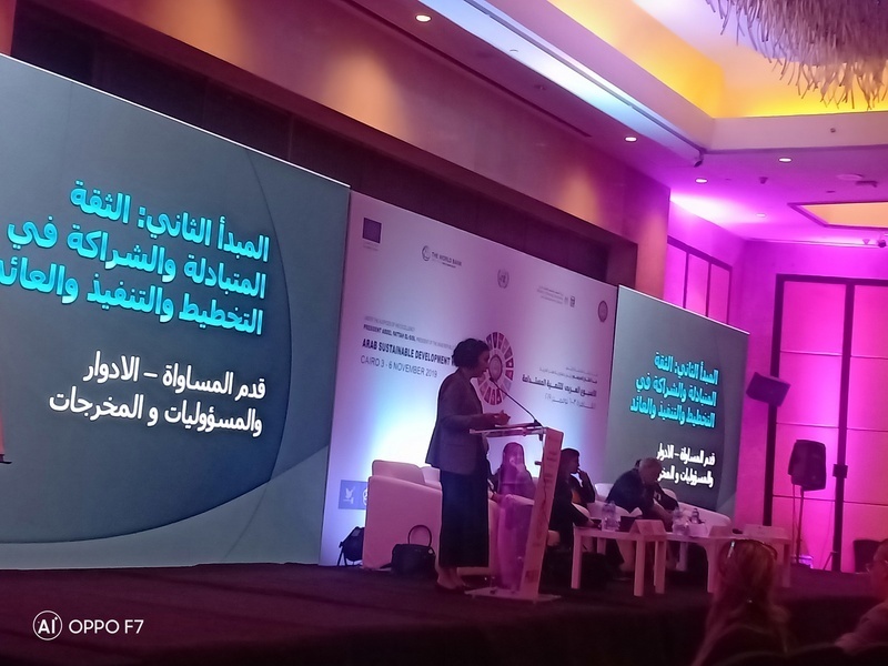 خبيرة: لابد من تعزيز الشراكات بين الحكومات وقطاع العطاء الاجتماعي لتحقيق التنمية المستدامة
