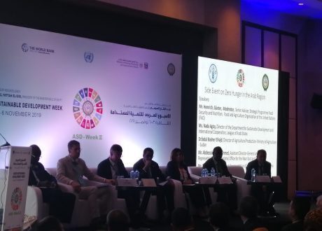 Arab Sustainable Development Week spotlights Arab initiatives to end hunger, challenges facing region