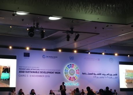 سيف سليمان : السلام هو أساس التنمية المستدامة