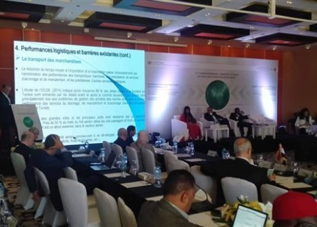 وزارة التخطيط تواصل فعاليات مؤتمر لجنة الخبراء الدولية للمكتب دون الإقليمى لشمال أفريقيا