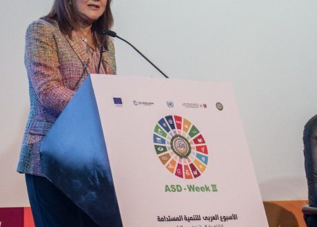 Sisi: Despite dwindling global growth rate, emerging & developing states’ rate expected to go up by 5% by end of 2019