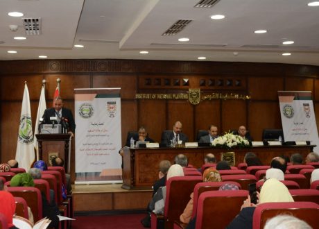 «التخطيط القومي» يطلق الإصدار الرابع من تقرير التنمية العربية