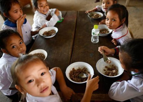 UN agencies urge saving 3 million undernourished people in Asia-Pacific monthly
