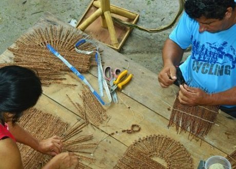 Sustainable Amazon Foundation wins 2019 UNESCO-Japan Prize on Education for Sustainable Development