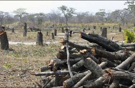 Zambia trains charcoal producers to improved methods to cut CO2 emissions