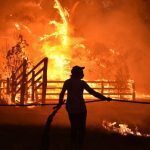 Johanson&Johnson earmarks $ 600,000 for Australia bushfire relief operations