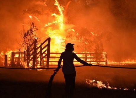Johanson&Johnson earmarks $ 600,000 for Australia bushfire relief operations