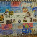 Mexico’s 2020 Int’l Poster Biennial contest addresses biodiversity