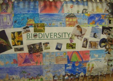 Mexico’s 2020 Int’l Poster Biennial contest addresses biodiversity
