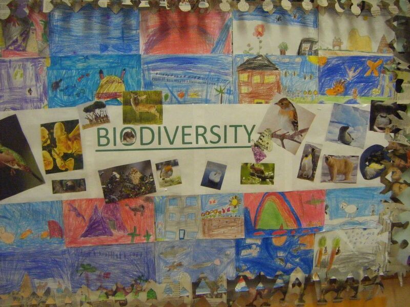 Mexico’s 2020 Int’l Poster Biennial contest addresses biodiversity