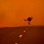 مقال : الاحتباس الحراري وأثره على حرائق الغابات في أستراليا