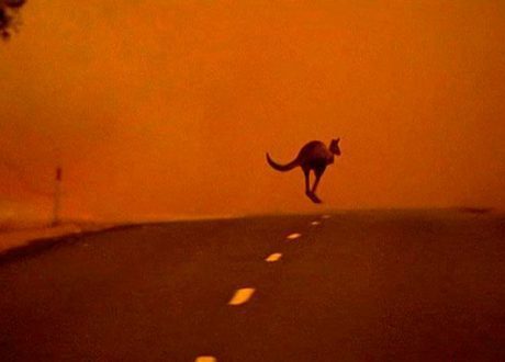 مقال : الاحتباس الحراري وأثره على حرائق الغابات في أستراليا
