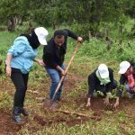 Ethiopia breaks world record by planting over 350 million trees in one day