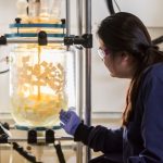 BioCellection develops $ 5m technology for upcycling plastics