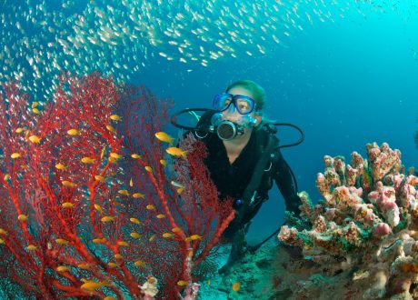 UNDP’s Ocean Innovation Challenge to accelerate SDG 14