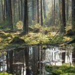 Germany pledges €60 m for ecosystem-based adaptation
