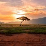 EIB to extend €4 bn to Africa to support SDGs