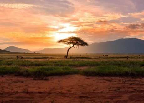 EIB to extend €4 bn to Africa to support SDGs