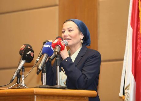 البيئة: مصر تخلصت بشكل آمن من 470 طنا من المبيدات عالية الخطورة